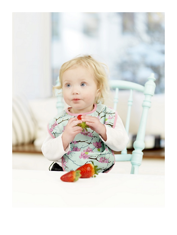 wizerunek1-007-2014-01-29 _ 00_29_24-75