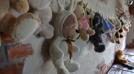 Jedyna taka fabryka w Europie już działa - Choć trudno w to uwierzyć, ale to jedyne tego typu miejsce nie tylko w Polsce ale i całej Europie. Mowa o „Fabryce misia”, czyli najbardziej innowacyjnym centrum rekreacyjnym dla najmłodszych. W sobotę, 28 maja odbyło się jego oficjalne otwarcie.