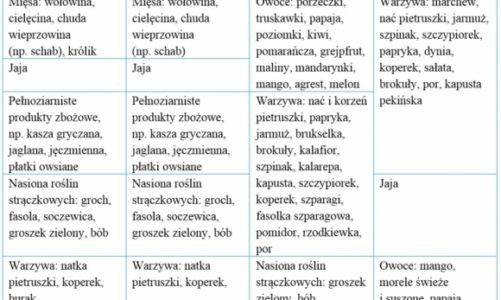 Żywienie na przeziębienie