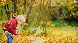 Jesienne sposoby na spędzenie czasu z dzieckiem - Polska jesień potrafi mile zaskoczyć i być naprawdę piękna! Wówczas każdą chwilę warto spędzić na świeżym powietrzu. Zabawy w parku, gdy na ziemi pełno różnokolorowych liści z pewnością są atrakcją dla naszych pociech.