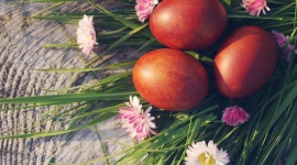 Zielone sposoby na Wielkanoc z dzieckiem - Zieleń to kolor nowego życia, kolor wiosny, a przez to także kolor, jaki najsilniej kojarzy się ze Świętami Wielkanocnymi. Sprawdź, jak możesz wprowadzić soczystą zieleń do domu, w którym Wielkanoc świętować będzie maluch.