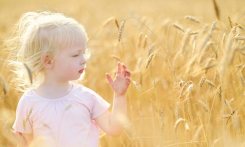 Produkty zbożowe to ważny element zbilansowanej diety niemowlęcia