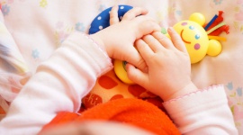 Roczniak poznaje świat - Jak wspierać malucha w tym wyjątkowym okresie? Jaką dietę wybrać? W co się bawić? I wreszcie - co powinno umieć dziecko po 1. urodzinach? Na te i inne pytania odpowiedzi znajdziesz w naszym materiale.