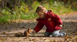 Rekordowa liczba przedszkolaków z całej Polski uczy się jak dbać o naturę - 7,5 tys. przedszkoli – co drugie w Polsce zgłosiło się do ogólnopolskiego programu edukacyjnego „Kubusiowi Przyjaciele Natury”. Rekordowa liczba 650 tys. dzieci dowie się jak dbać o przyrodę, na czym polega aktywny wypoczynek i dlaczego warto jeść warzywa i owoce.