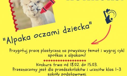 Konkurs dla szkół i przedszkoli „Alpaka oczami dziecka”!