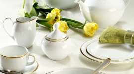 Villa Italia - Hatty Gold/Opera Gold - Serwis obiadowy powinien być nie tylko piękny, ale przede wszystkim wytrzymały, praktyczny i ponadczasowy. Nie jest ważne, czy to święto, czy zwykły dzień – jedzenie smakuje dużo lepiej podane na ulubionej, pięknej zastawie.